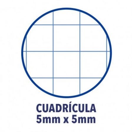 Oxford Recambio de Cuaderno Tapa Blanda A4+ 80 Hojas Cuadriculada Azul Oscuro